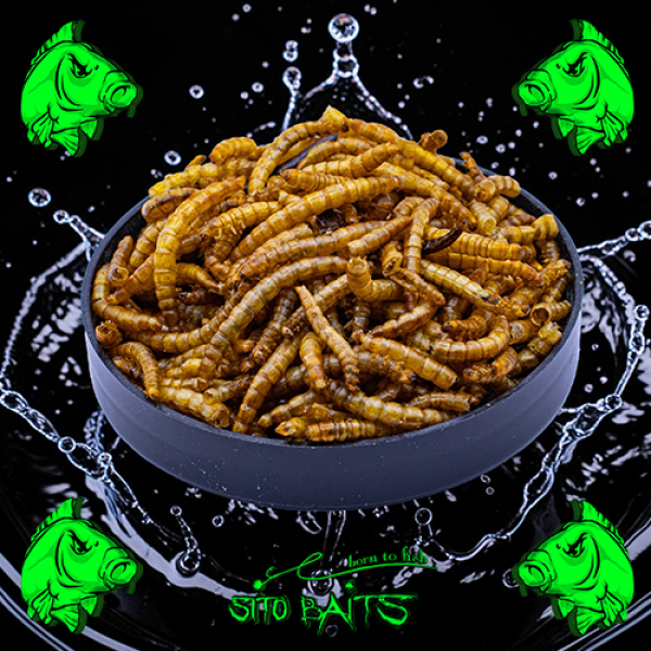 getrocknete Mehlwürmer/Mehl